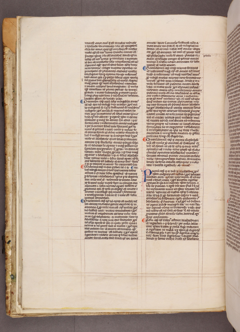 Folio 8 verso